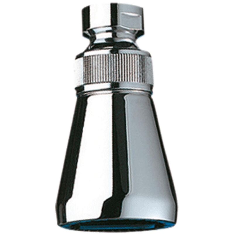 Delabie - Pomme de douche Gym Confort - Diamètre pomme: 45 mm - Hauteur pomme: 85 mm - Chromé