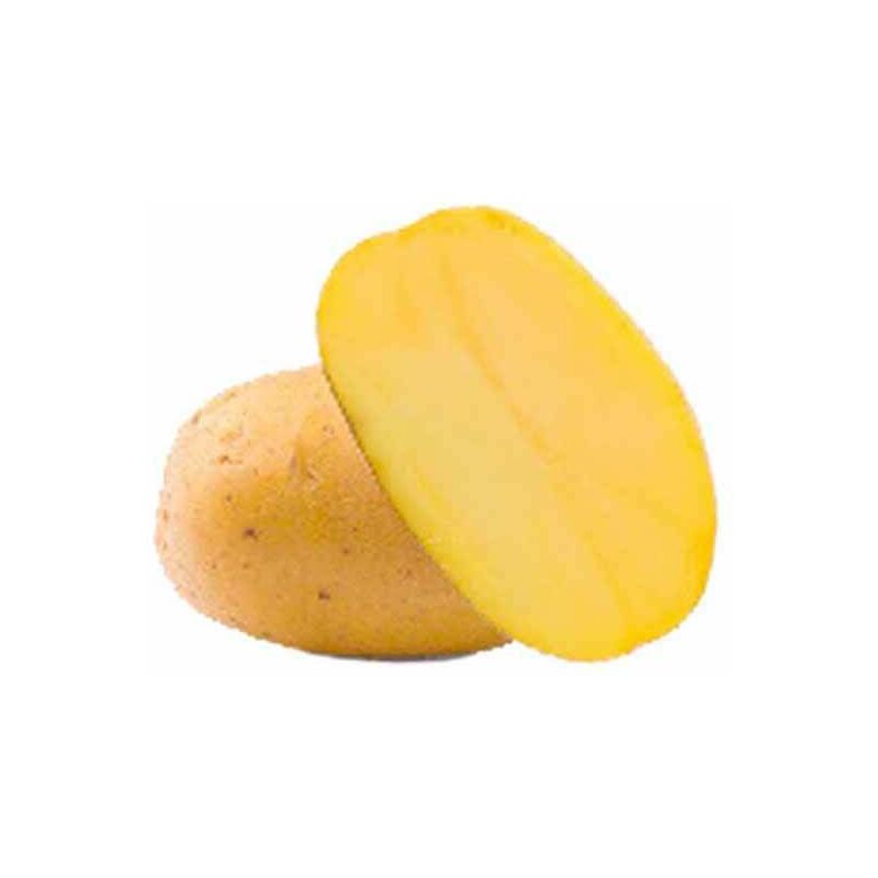 25 Pommes de terre Goldmarie Bio - 25 - Willemse