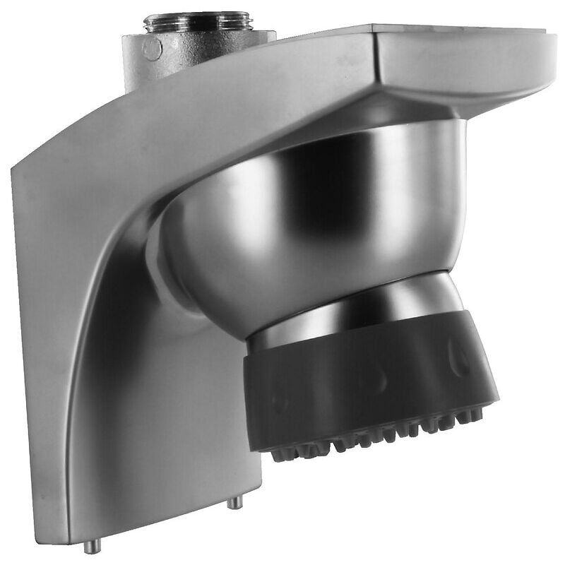 Applique pomme de douche chromée complète pour dl 300 s & dl 400 s Presto