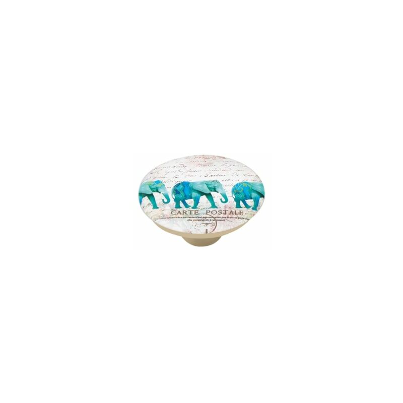 

Pomo 50Mm Abs Con Serigrafia Elefante Turquesa