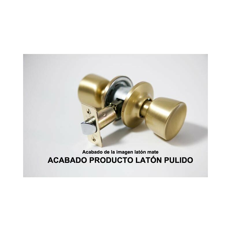 

POMO LATON 3503-60/70 LP - Tesa