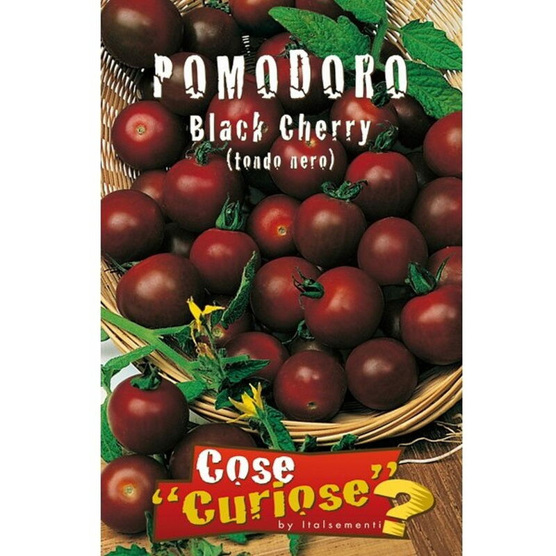 Image of Pomodoro Black Cherry (Semente)