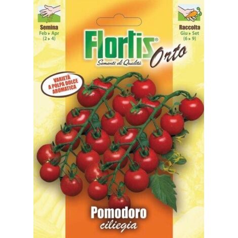 POMODORO CILIEGIA