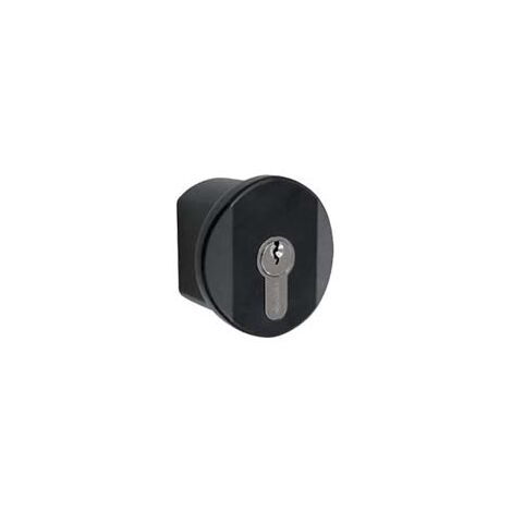 POMOLO PER MANIGLIONI ANTIPANICO FAST E PRESTIGE 07078380- - (07078350) - 1 pezzi CISA