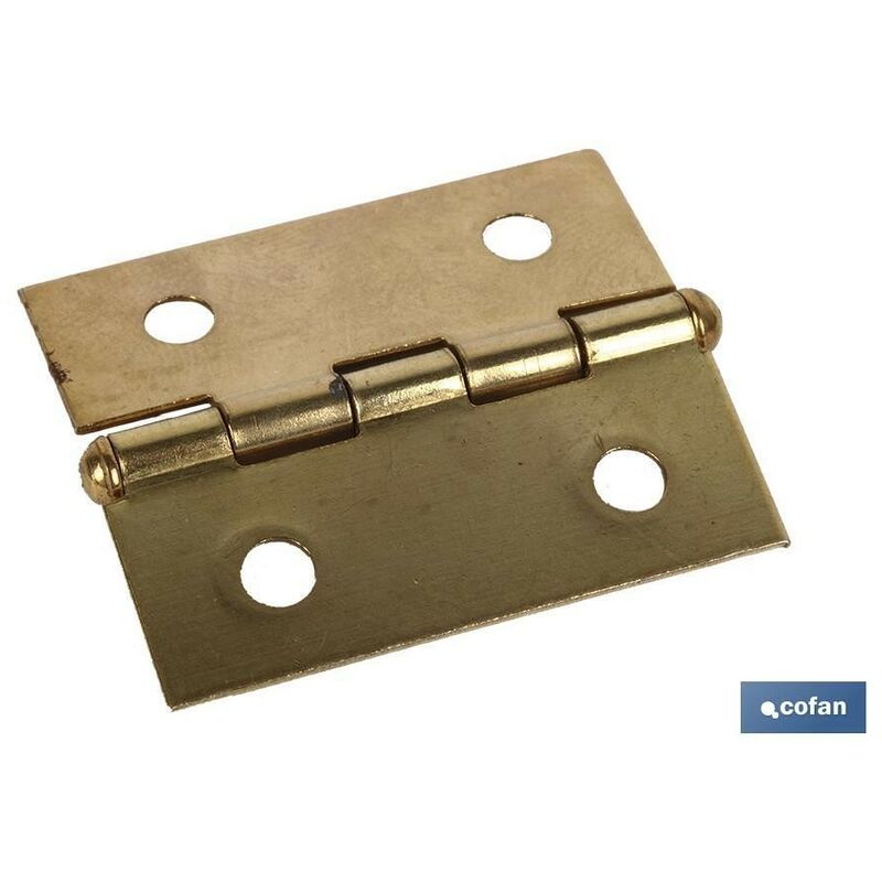 

2 uds bisagra hierro laton 50 x 40 venta unitaria