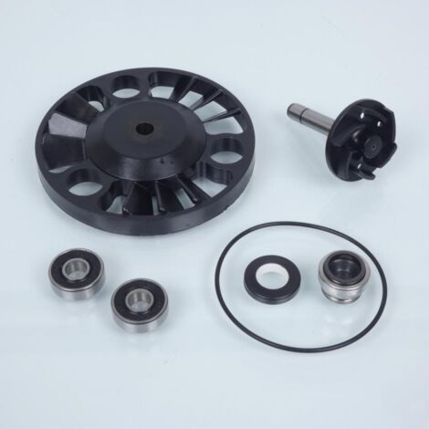 pompa à eau buzzetti pour auto piaggio 125 0390 / d22mm neuf