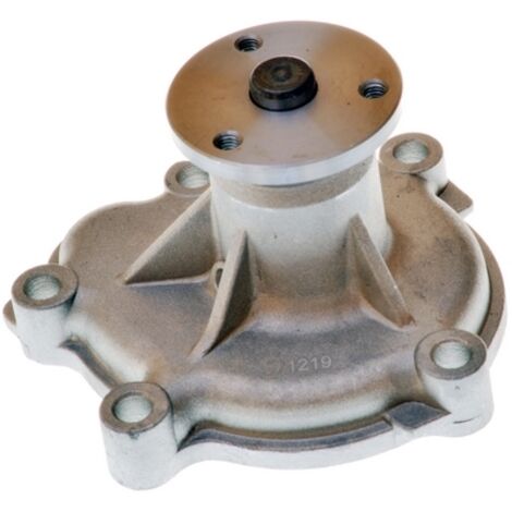POMPA ACQUA A310867P DENCKERMANN