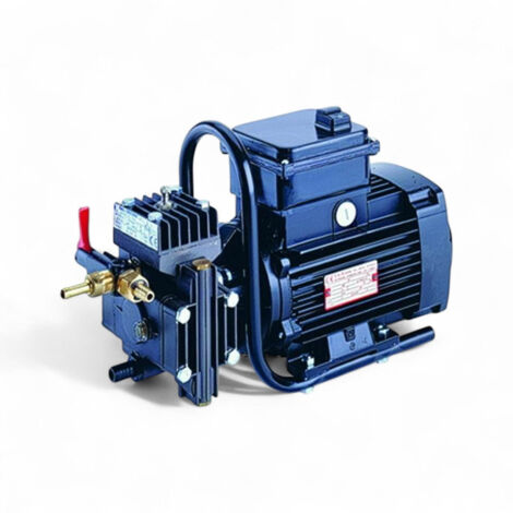 Pompa ad alta pressione elettrica 750W per irrorazione Dl218