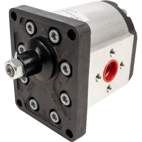 Pompa ad ingranaggi gruppo 3 30,20 CC sx