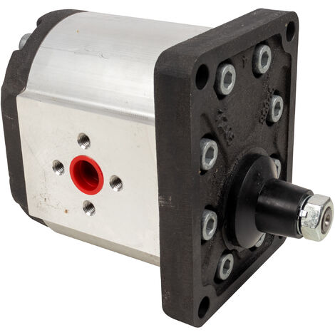 Pompa ad ingranaggi gruppo 3 44,60 CC dx