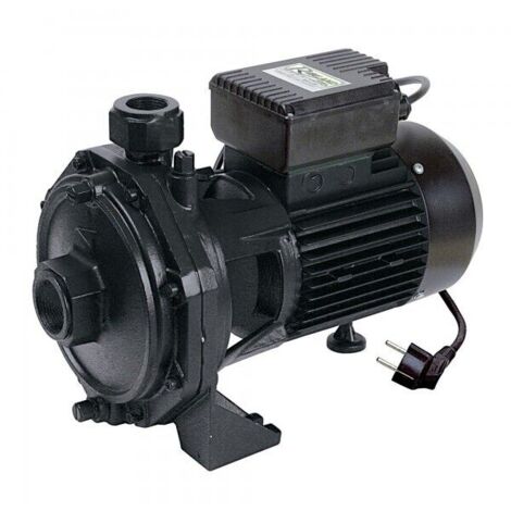 pompa centrifuga per acqua di superficie a doppia turbina 2000w - prrbk200 - ribiland