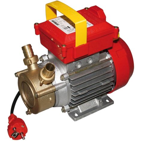 Pompa elettrica da travaso rotazione reversibile 340 W raccordi 20 mm - Rover