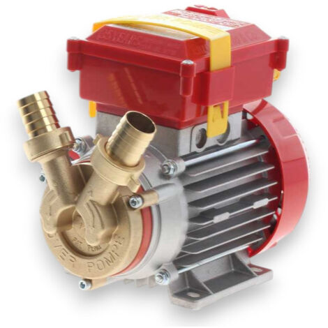 Pompa elettrica per travaso alimenti con rotazione reversibile hp 0.8 Rover