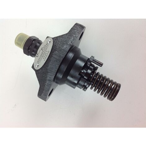 Pompa iniezione motore LOMBARDINI 530 532 533 6LD360 versione1 6590.069 FIN069JP