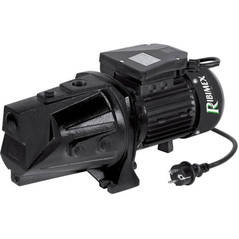 Pompa per acqua 1800w auto-priming Ribiland