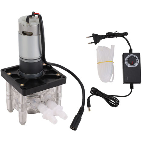 Pompa peristaltica ad alta portata 200-3000 ml/min - Velocità regolabile, per laboratorio/acquario, spina europea