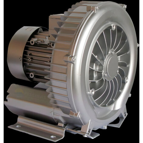 Pompe à air à turbine 1,20 kW monophasée Astralpool