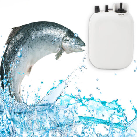 Pompe à air de pêche portable étanche et silencieuse, accessoire pour pêcheurs