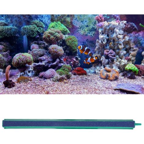 Pompe à Air pour Aquarium Décoration Paysagère Tube Diffuseur d'Air en Pierre de 25cm