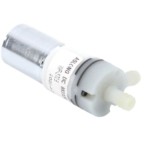Pompe à eau 12V DC portable miniature en acier inoxydable pour usage domestique et extérieur