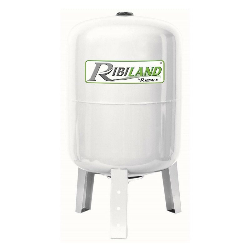 Ribiland - Pompe à eau de surface verticale pour surpresseur à eau 200L sortie 1