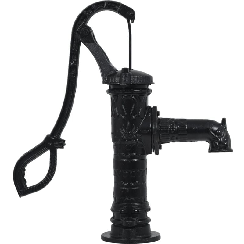 VidaXL Pompe à eau manuelle de jardin en fonte