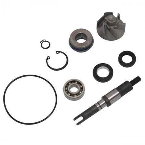 Pompe à eau pour scooter Honda 125 Silver Wing 2007 - 2012 Neuf