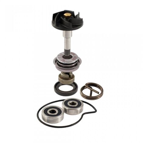 Pompe à eau RMS pour Auto Piaggio 2006 à 2008 Neuf