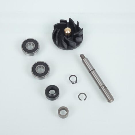 Pompe à eau RMS pour Scooter Gilera 125 Runner 1997 à 2002