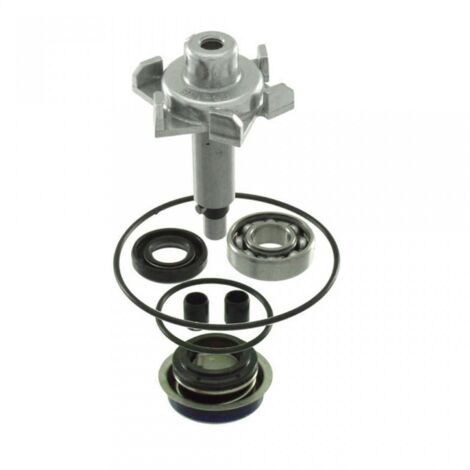 Pompe à eau RMS pour Scooter Honda 150 PCX 2015 à 2018 KF19A Neuf