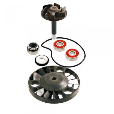 Pompe à eau RMS pour Scooter Piaggio 125 Super Hexagon 2001 à