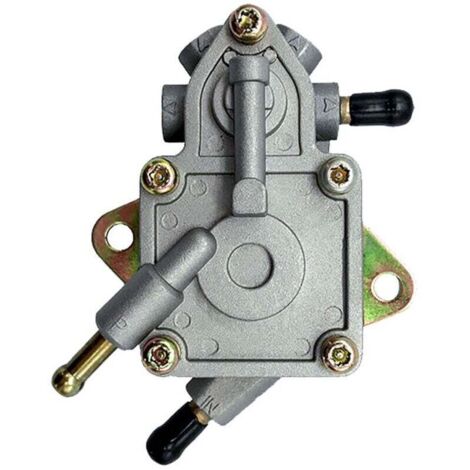 Pompe à Essence Moto Quad ATV 260cc 300cc Compatible avec Modèles D300 H300 G300