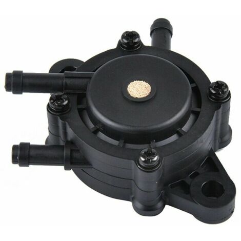 Pompe à essence pour moteur de tracteur tondeuse ou autrem