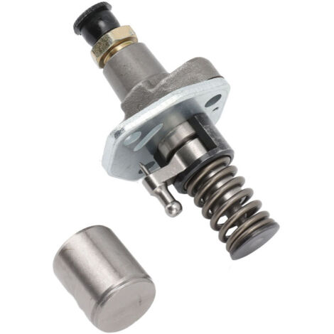 Pompe à Injection 170F 178F Moteur Diesel - Pièce de Rechange Assemblage Pompe à Carburant en Métal pour Génératrice