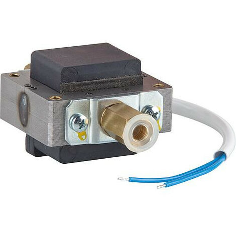 Pompe à piston Eckerle complete 115040