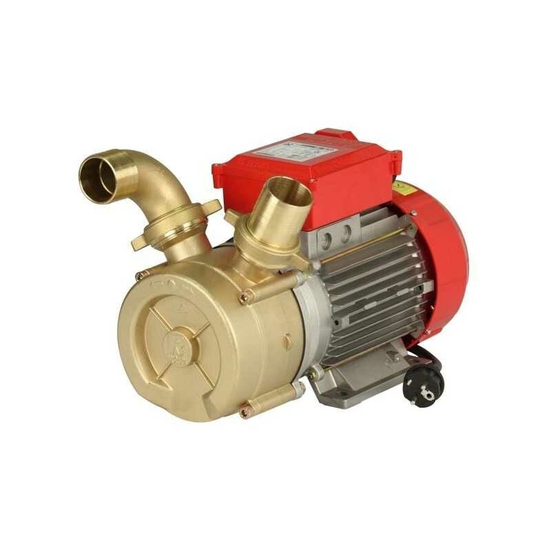 Pompe électrique de transfert mm 50 Rover