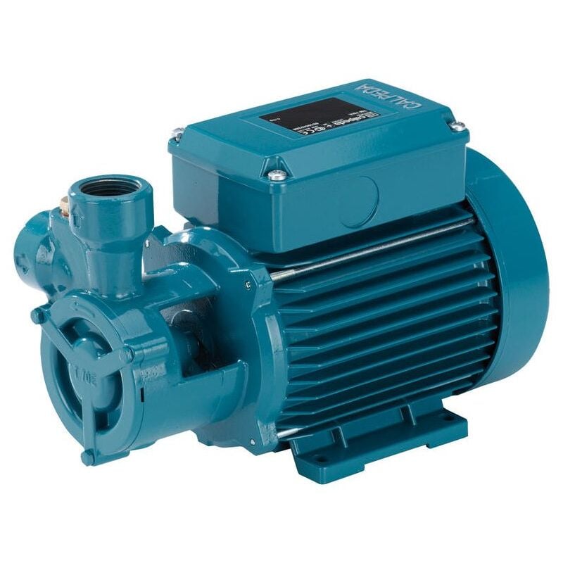 Calpeda - Pompe avec roue Peripherique T70m/A 0,75kW 1Hp Monophasé 230V tm à eau centrifuge industrielle à usage professionnel