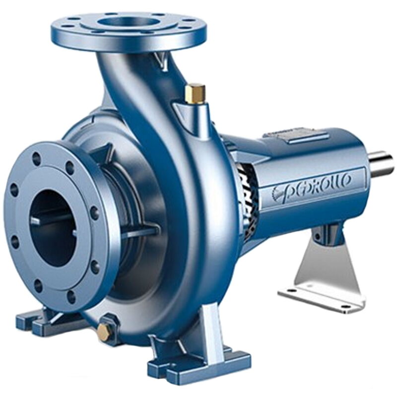 Pompe centrifuge normalisée de soutien pour irrigation Pedrollo FG50/200AR Fonte