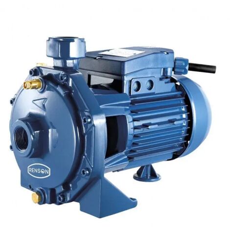 Pompe centrifuges tri fonte 2.2 kW RENSON