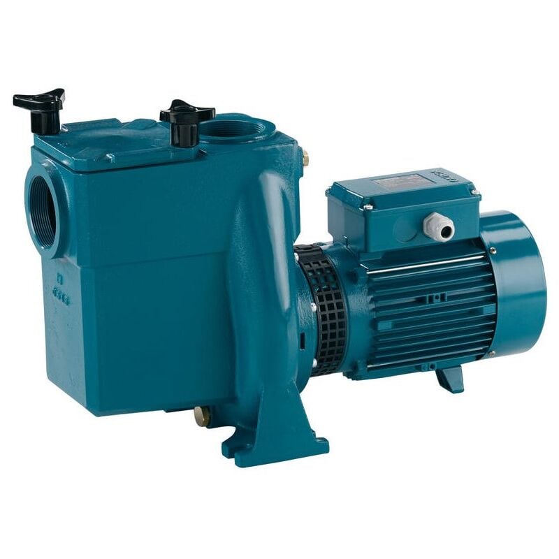 Pompe de piscine autoamorçante pour Circulation et Filtration avec filtre incorporé Calpeda NMP50/12D/A 3kW 4Hp à Triphasee 400V