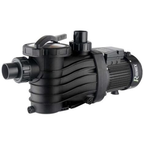 Pompe De Piscine Avec Pré Filtre 1000w, 21000 L/h Max - Ribimex