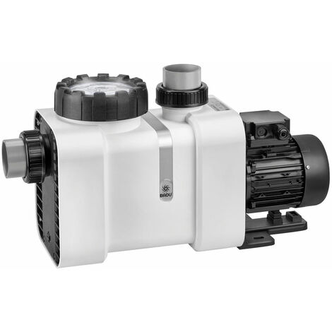 Pompe de piscine Badu Delta 22 – Débit max 22 m³/h – Puissance 0.75 kW – Moteur sans entretien avec roulements à billes – Speck