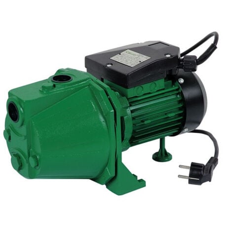 Pompe de surface auto-amorçante 600w - Ribiland - prjet61