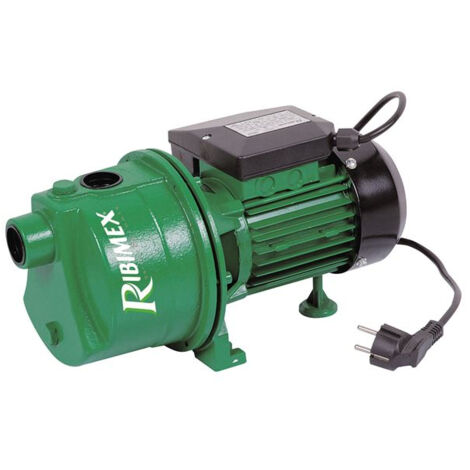 Pompe de surface jet61 600W corps fonte - RIBIMEX