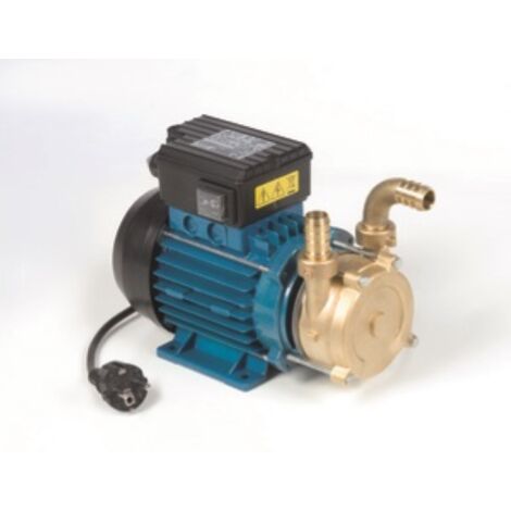 pompe de transfert A lectrique avec poignA e 1.0Hp transfert de vin 5160 lt / h