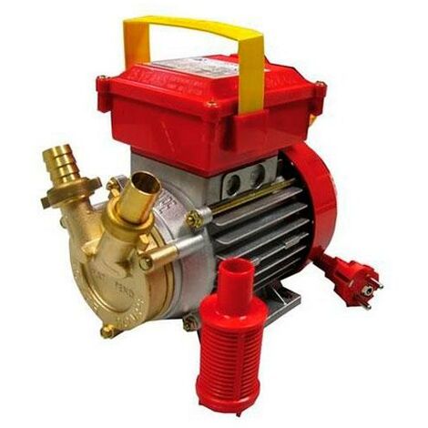 Pompe de transfert Champion ROVER 20-CE - talla