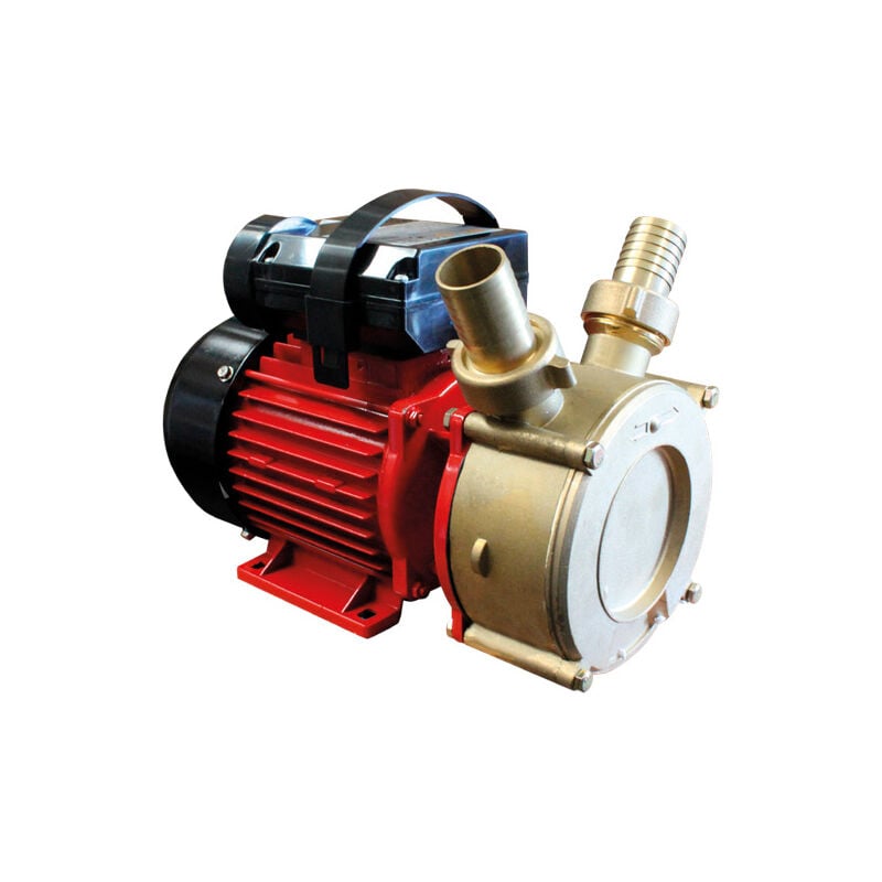 Bricoferr - Pompe de transfert, Puissance 0,45hp