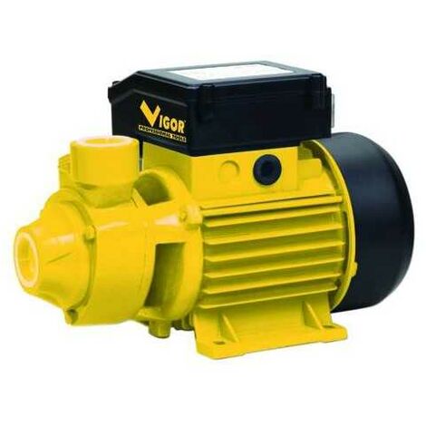 Pompe électrique Vigor périphériques V-Ep1M