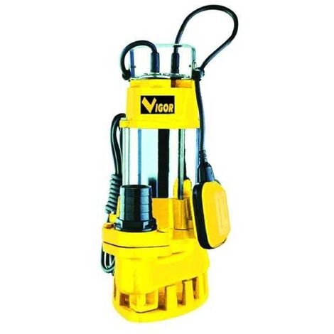 Pompe électrique Vigor Ve1500 Sub Inox-Ghisa A.Luride 2" F