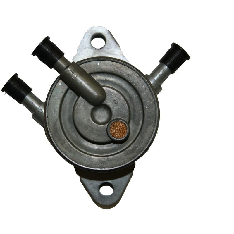 Pompe à essence métallique moteur Briggs et Stratton, 491922, 808656, 692026